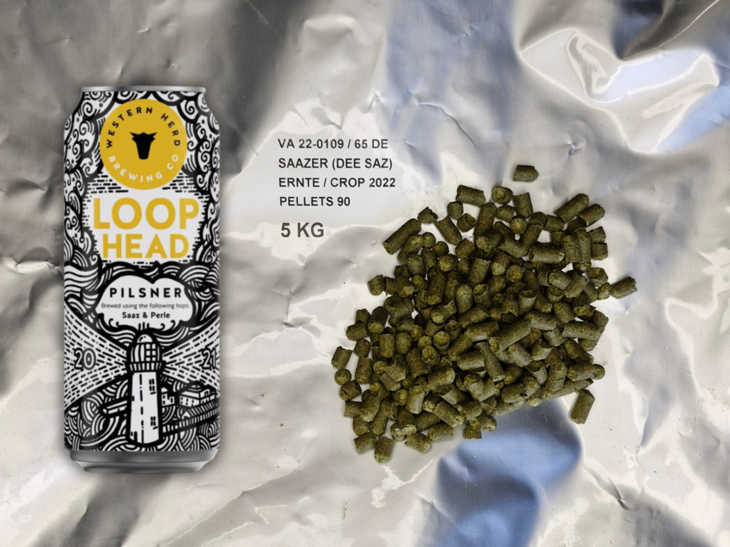 Western Herd Brewing Loop Head Pilsner with Saaz Hops