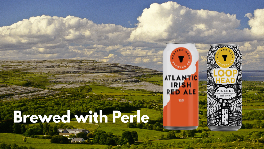 Western Herd Atlantic Red Ale and Loop Head Pilsner brewed with Perle