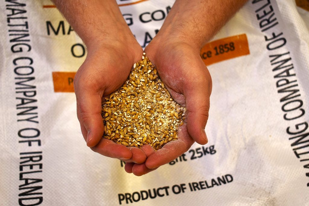 Western Herd Malt in Hands