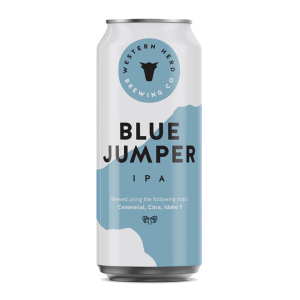 BLUE JUMPER