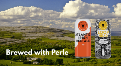 Western Herd Atlantic Irish Red Ale and Loop Head Pilsner with Perle hops
