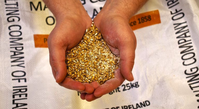 Western Herd Malt in Hands